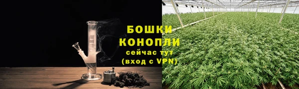 ПСИЛОЦИБИНОВЫЕ ГРИБЫ Алексин