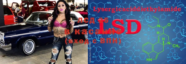ПСИЛОЦИБИНОВЫЕ ГРИБЫ Алексин